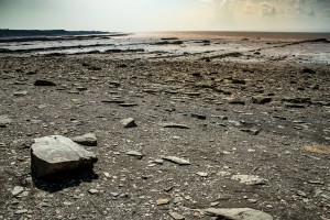 Bay of Fundy